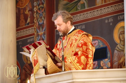 dsc03833 54577299518 o